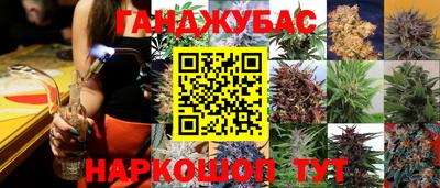 прущие грибы Татарск