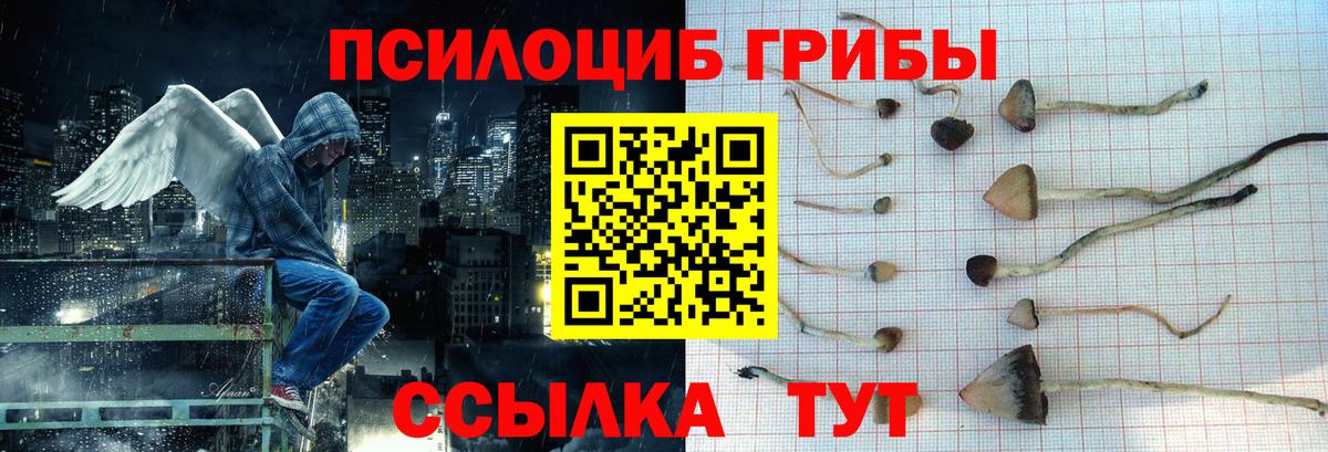 Свободный  Псилоцибиновые грибы прущие грибы  Вход с VPN 